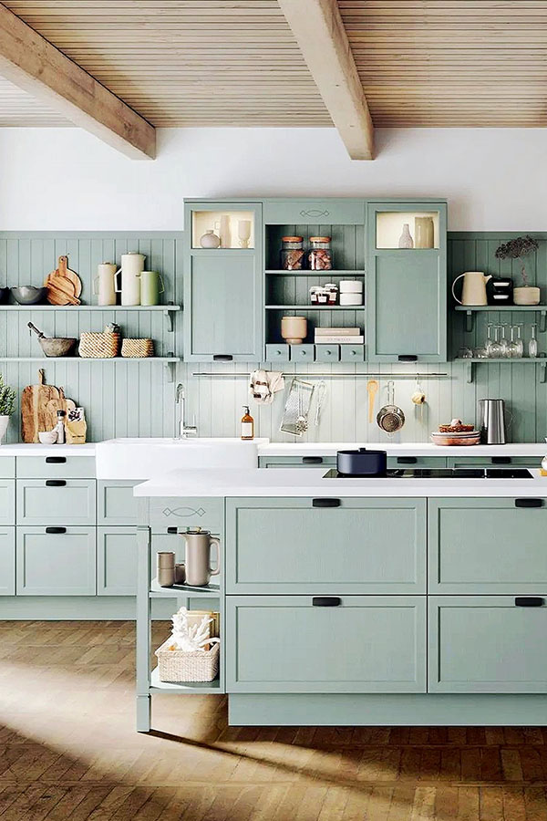 Североамериканский шейкер-05